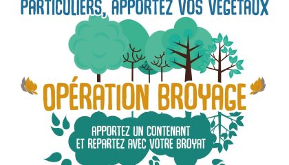 Broyage Vouille