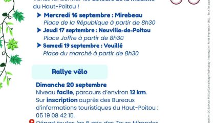 cchp marche
