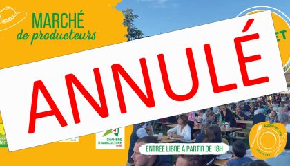 vouille